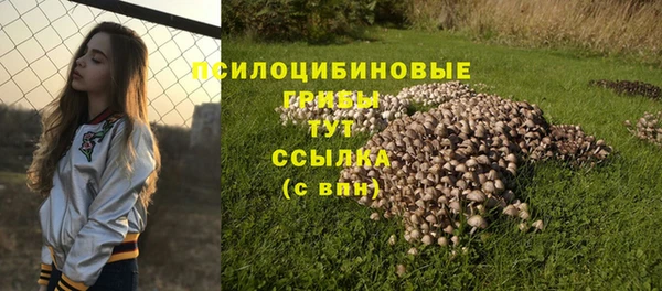 ГАЛЛЮЦИНОГЕННЫЕ ГРИБЫ Абдулино