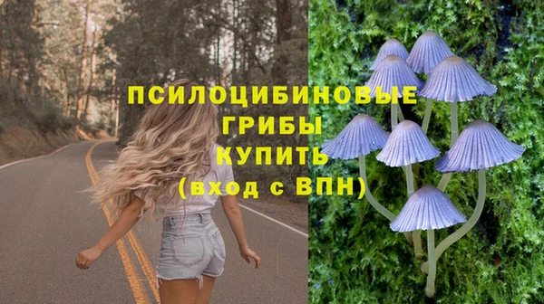 спайс Абаза