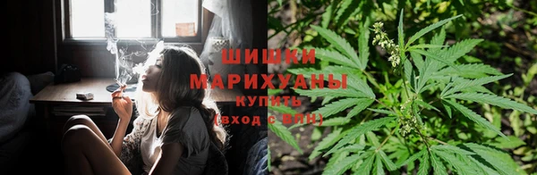 спайс Абаза