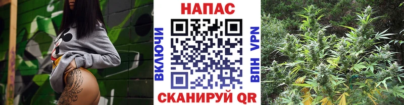 купить   Невельск  darknet официальный сайт  Бошки Шишки гибрид 